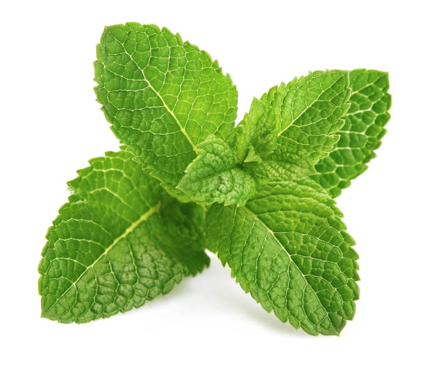 Spearmint Flavour Concentrate