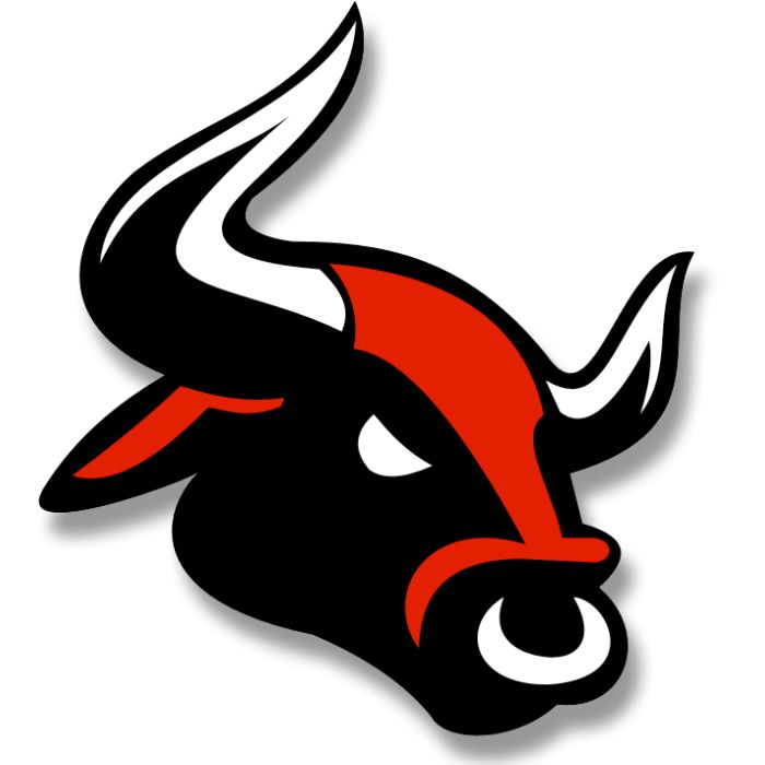 Holysmoke Raging Bull 10ml